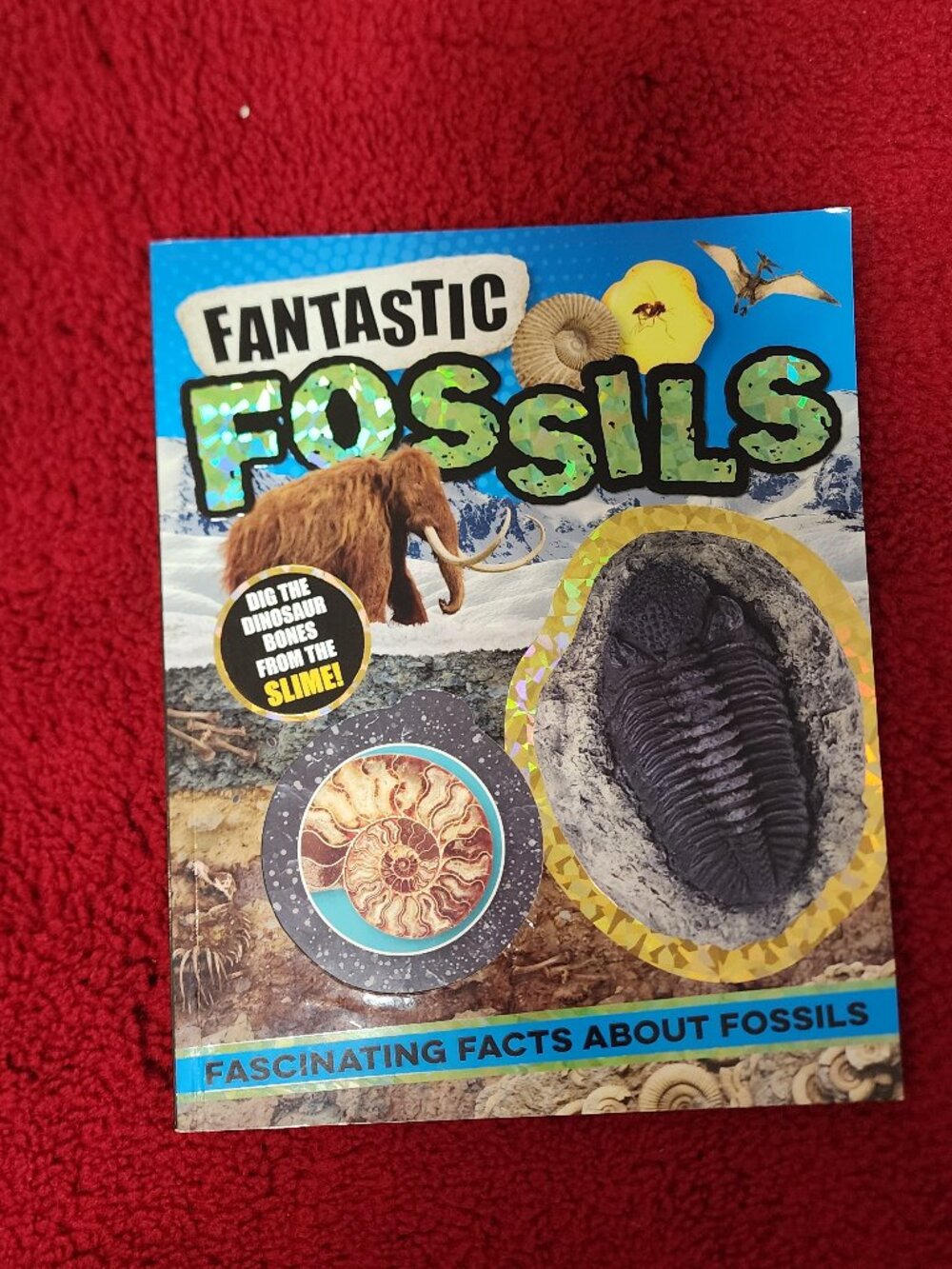 Fantastic Fossils Kids Science Book – Dinosaurs, Fossils & Prehistoric Life
